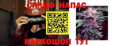 мдпв Кимры