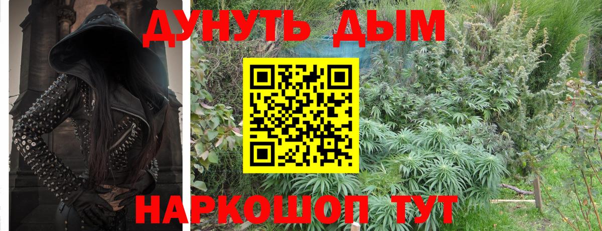 Конопля THC 21%  Каннабис семена  Шишки марихуана тримм  Вход с VPN  Лесозаводск  Шишки марихуана индика 